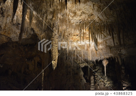 Mammoth Cave / Margaret River マンモス・ケーブ 鍾乳洞 オーストラリア Mammoth Cave / Margaret River マンモス・ケーブ 鍾乳洞 オーストラリア 43868325