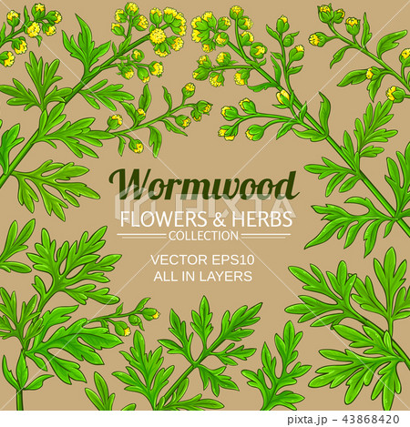 wormwood vector frame 43868420