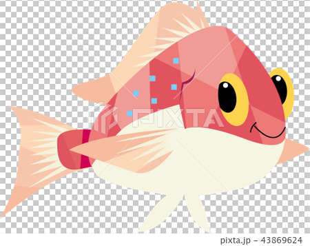 かわいい鯛 かわいい鯛 43869624
