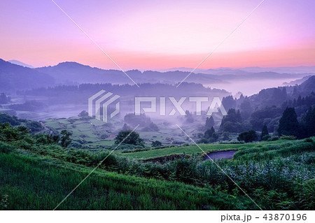 星峠の棚田 （朝景） 43870196