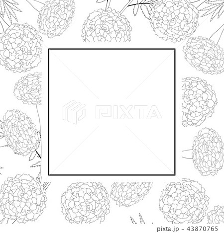 Marigold on White Banner Card Outline 43870765