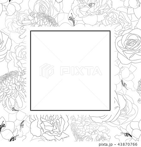 Rose, Chrysanthemum, Carnation, Peony Amaryllis Rose, Chrysanthemum, Carnation, Peony Amaryllis 43870766