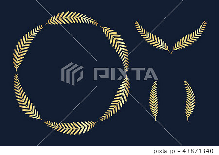 葉 木の葉 月桂樹のイラスト素材 43871340 Pixta