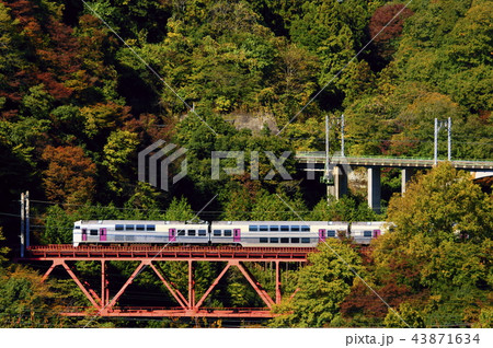 鉄橋を渡る215系 ホリデー快速ビューやまなしの写真素材
