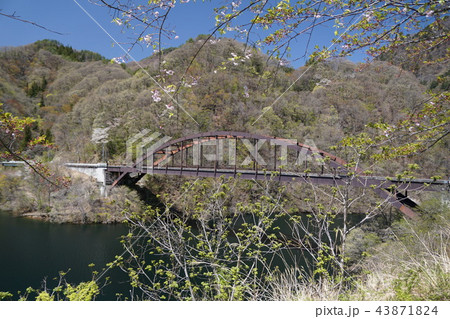 甲府市　野猿谷渓谷 43871824