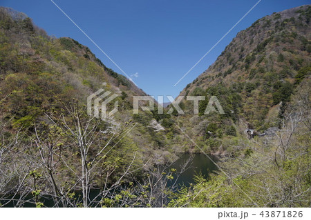 甲府市　野猿谷渓谷 43871826
