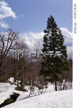 戸隠神社奥宮より飯縄山 43871838