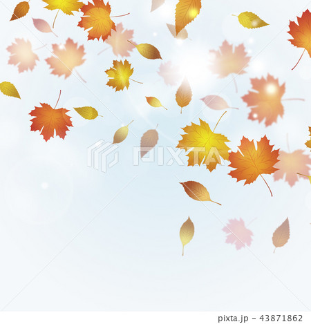 Bright Autumn Background 43871862