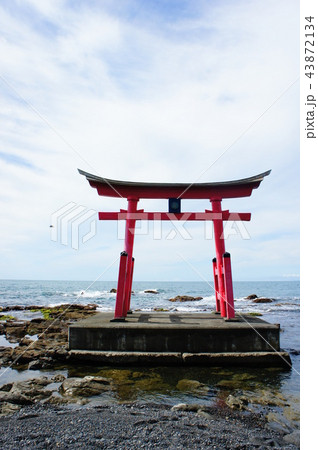 金比羅神社の鳥居 43872134