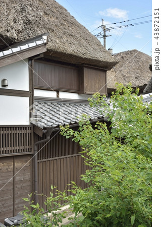 【佐賀県　鹿島市】肥前浜宿・浜庄津町浜金屋町の町並み 43872151