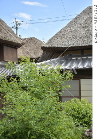 【佐賀県 鹿島市】肥前浜宿・浜庄津町浜金屋町の町並み 【佐賀県 鹿島市】肥前浜宿・浜庄津町浜金屋町の町並み 43872152