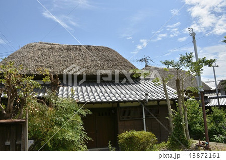 【佐賀県 鹿島市】肥前浜宿・浜庄津町浜金屋町の町並み 【佐賀県 鹿島市】肥前浜宿・浜庄津町浜金屋町の町並み 43872161