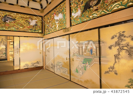 名古屋城本丸御殿 名古屋城本丸御殿 43872545