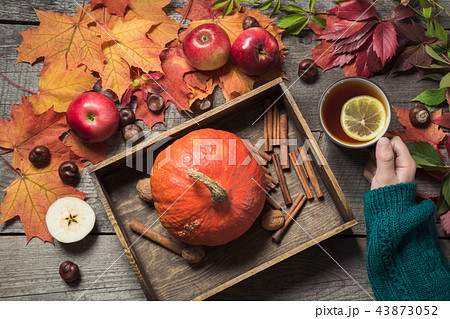 Hot cup of tea in hand with decor of pumpkins. 43873052