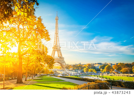 eiffel tour and from Trocadero, Paris eiffel tour and from Trocadero, Paris 43873243