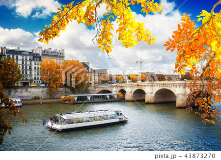 Pont Neuf, Paris, France 43873270