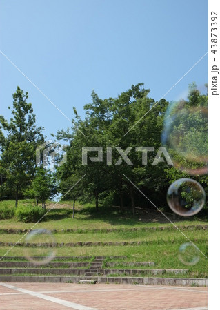 シャボン玉　公園　風景 43873392