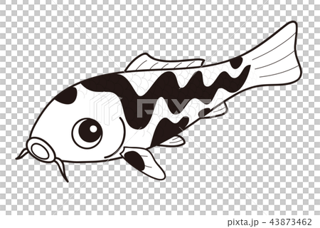 Carp Nishikigoi Kuroryu black and white Carp Nishikigoi Kuroryu black and white 43873462