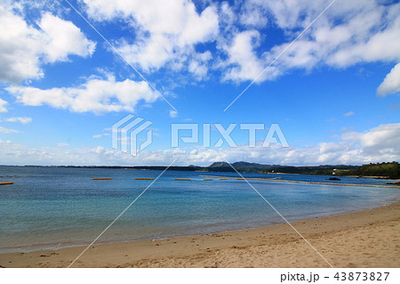 バハマの海 43873827