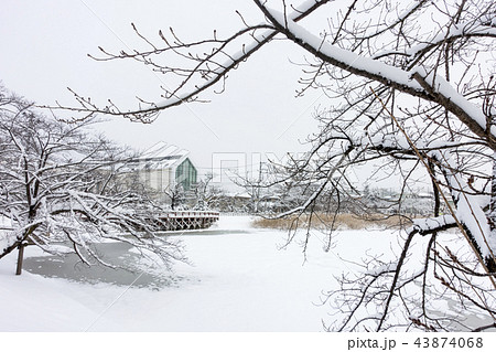 記録的大雪が降り積もった福島県郡山市民の憩いの場穴場人気スポット五百淵公園新雪冬イメージ貴重な冬景色 記録的大雪が降り積もった福島県郡山市民の憩いの場穴場人気スポット五百淵公園新雪冬イメージ貴重な冬景色 43874068