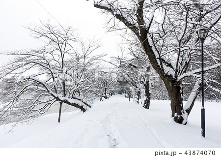 記録的大雪が降り積もった福島県郡山市民の憩いの場穴場人気スポット五百淵公園新雪冬イメージ貴重な冬景色 43874070