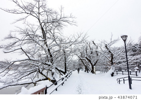 記録的大雪が降り積もった福島県郡山市民の憩いの場穴場人気スポット五百淵公園新雪冬イメージ貴重な冬景色 記録的大雪が降り積もった福島県郡山市民の憩いの場穴場人気スポット五百淵公園新雪冬イメージ貴重な冬景色 43874071