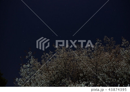 北斗七星 43874395
