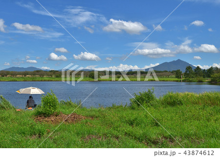 夏空と水辺　母子島遊水地 43874612