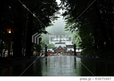 雨の霧島神宮 43875987
