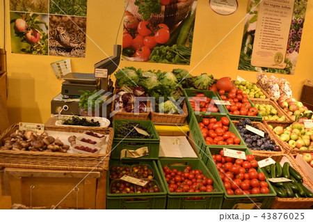秋のドイツ市場フランクフルトのマルクトハレにある野菜 43876025