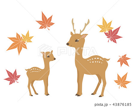 鹿と紅葉の挿絵のイラスト素材 43876185 Pixta