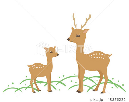 草原にいる鹿の挿絵のイラスト素材 43876222 Pixta