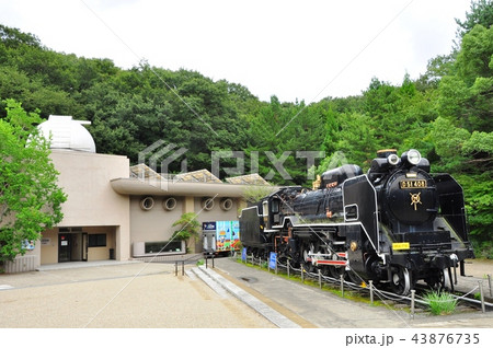 川崎市　生田緑地かわさき宙と緑の科学館とD51 43876735