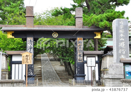 藤沢市 時宗総本山遊行寺の惣門 藤沢市 時宗総本山遊行寺の惣門 43876737