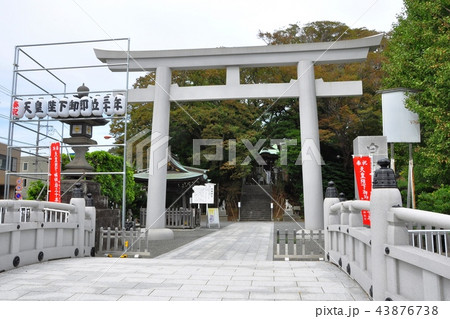 藤沢白旗神社の大鳥居 藤沢白旗神社の大鳥居 43876738