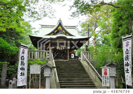 藤沢白旗神の社殿と境内 43876739