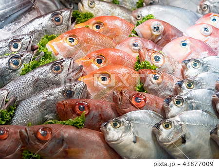 市場 マーケット 市 43877009