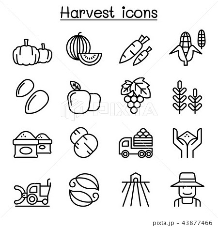 Harvest icon set in thin line style Harvest icon set in thin line style 43877466