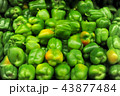 ピーマン 43877484