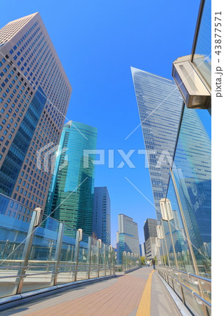 晴天下の汐留高層ビル群 晴天下の汐留高層ビル群 43877571