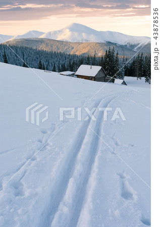 Winter skiing in the mountains 43878536