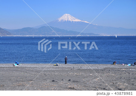 三保海岸と富士山-8183 43878981