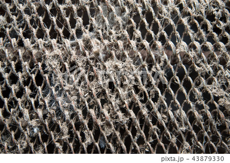 Dirty rusty steel grid with dust and cobwebs, grunge background Dirty rusty steel grid with dust and cobwebs, grunge background 43879330