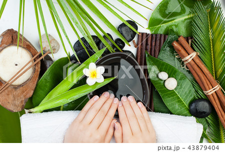 Spa manicure. Beautiful female hands  43879404