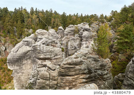 sandstone rocks - Prachovske skaly (Prachov Rocks) sandstone rocks - Prachovske skaly (Prachov Rocks) 43880479
