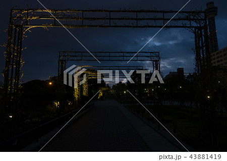 夜の公園 夜の公園 43881419