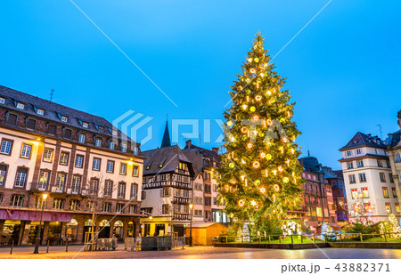 Christmas tree on Place Kleber in Strasbourg, France 43882371