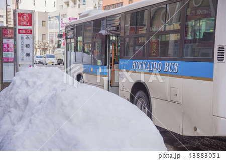 【五稜郭　繁華街】 43883051