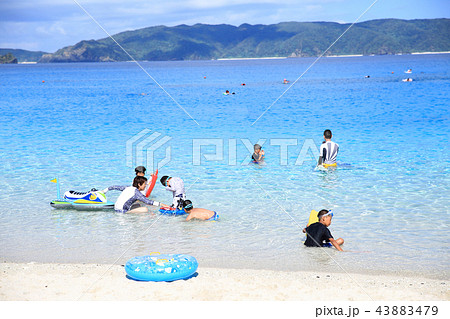 海水浴を楽しむ家族 海水浴を楽しむ家族 43883479