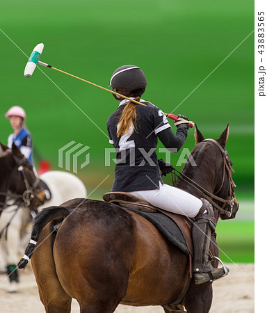 Polo woman player is riding on a horse. Polo woman player is riding on a horse. 43883565
